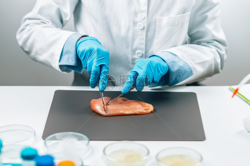 肉类食品质量控制检查员在实验室采集家禽样本食品质量控制肉类图片