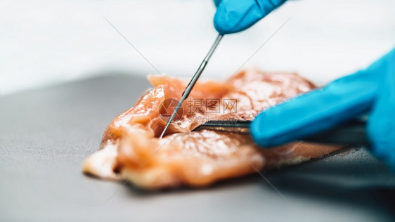 食品安全和质量控制禽肉测试图片
