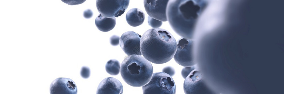 白色背景的Ripe蓝莓悬浮在白色背景的Ripe图片