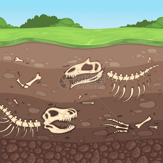 地下恐龙骨头土埋层粘媒介漫画埋古代头骨考土埋层图片