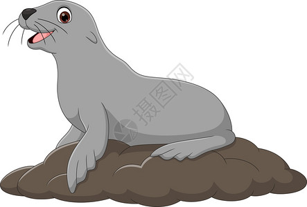 毛皮海豹白色背景的卡通滑稽海豹插画