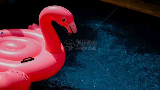 暑假有趣的粉红火烈鸟在游泳池中漂浮潮流的Flaminggo蓝色夏季概念图片