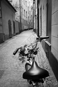 在瑞典斯德哥尔摩老城的街上图片
