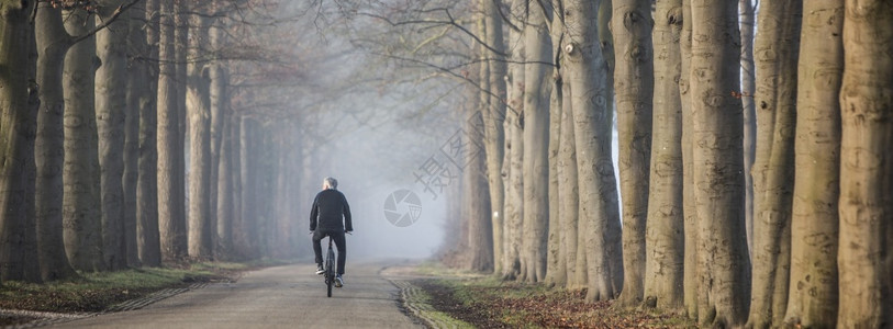 清晨阳光下在荷兰河边乌得勒支附近雾的日间杜茨风景中骑自行车的人和蜜蜂树干图片