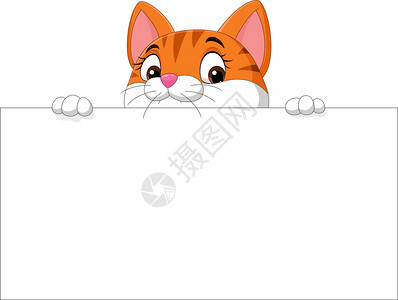 卡通可爱的猫咪举着空白纸图片
