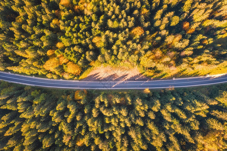 无人驾驶飞机在高空拍摄的森林道路景象图片