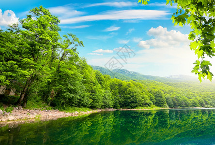 公园BiogradskaGora黑山的生物格拉底斯科湖图片