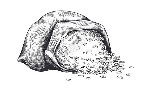 燕麦杂粮饭插画