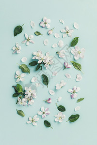 苹果花图片 苹果花素材 苹果花高清图片 摄图网图片下载 苹果花图片 苹果花素材 苹果花高清图片 摄图网图片下载