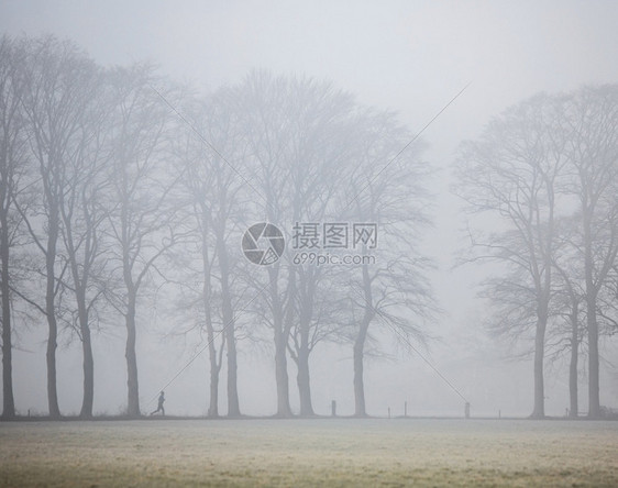 在橡树之间慢跑的人在早晨雾中靠近杜恩乌得勒支海风图片