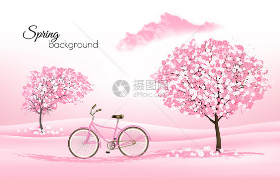 春天的自然背景有盛开的樱树和粉红色脚踏车矢量图片