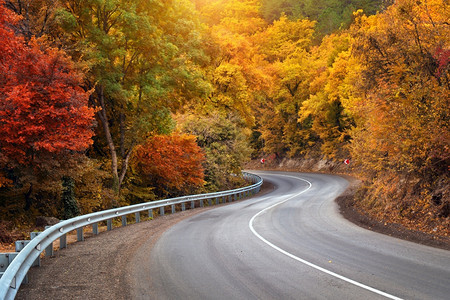秋天路条和阳光明媚的线美丽自然图片