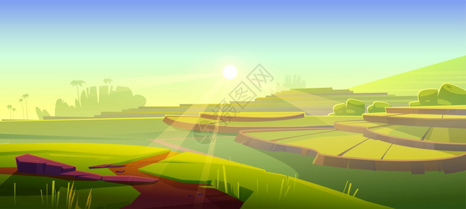 稻田梯早晨绿稻日出时山上种植作物的夏季风景矢量漫画图亚洲梯田和太阳光稻早晨绿稻图片