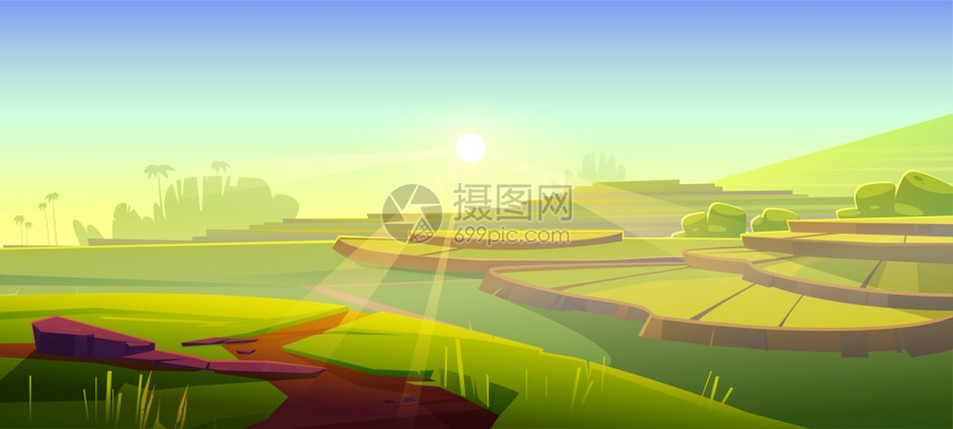 稻田梯早晨绿稻日出时山上种植作物的夏季风景矢量漫画图亚洲梯田和太阳光稻早晨绿稻图片