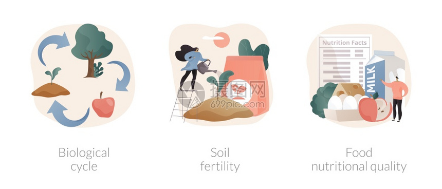 生物循环土壤肥力粮食营养质量农业循环现有营养物价值抽象比喻收获和土壤生产力抽象概念矢量说明图片