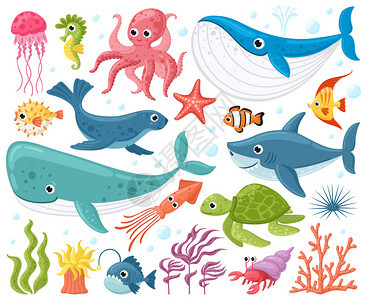 卡通海洋生物图集图片