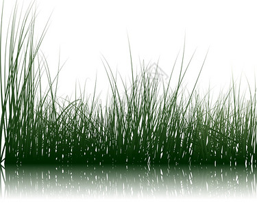 草坪背景图写实草地野草矢量背景图插画