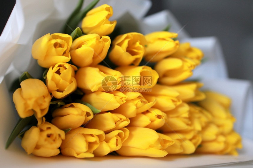 白色桌边的包件中黄大郁金香花束和灰色墙底的白包件恭喜收紧好背景复制空间白色桌边的包件中黄郁金香花束和灰色 墙底的壁喜悦背景复制空间高清图片下载 正版图片 摄图网