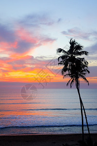 热带海滨美丽的日落度假休闲时间旅行的背景图片