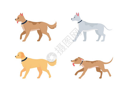 简笔画图形动画美食家各种狗育有扁色矢量详细字符集家畜在领圈内步行