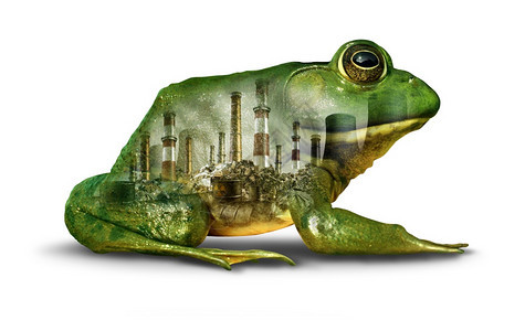 生境污染概念和环损害或气候变化紧急设想作为受污染和有毒化学品感染的绿色青蛙三维元素是白色的图片
