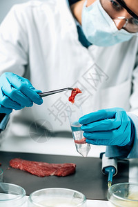 实验室原始红肉食品安全检查质量控制专家将牛肉样品分解为测试管图片