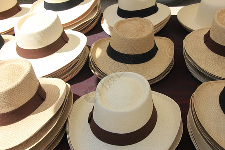 普罗旺斯法国市场的巴拿马帽子图片
