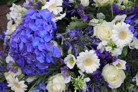 白和蓝色混合花群安排背景图片