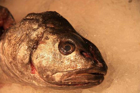 西班牙巴塞罗那鱼市场鲜西班牙巴塞罗那图片