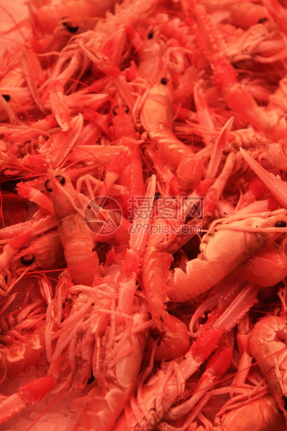 巴塞罗那市场的小红龙虾图片