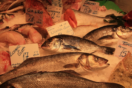 西班牙巴塞罗那鱼市场不同种类的新鲜鱼图片