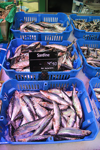 法国当地鱼市场不同大小的沙丁鱼图片