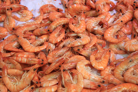 法国普罗旺斯的鱼市场新鲜虾图片
