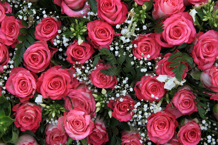 与粉红玫瑰和吉普西拉或婴儿呼吸的花朵安排图片