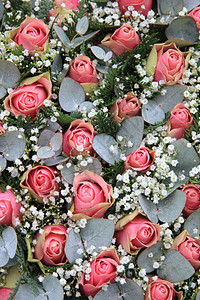 花与粉红玫瑰吉普西拉和尤卡利图斯的花和安排背景图片