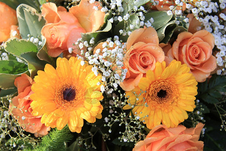 黄色和橙的花朵玫瑰安排图片