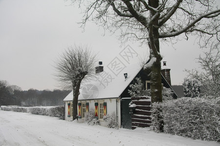 在被遗弃的雪路上小屋图片