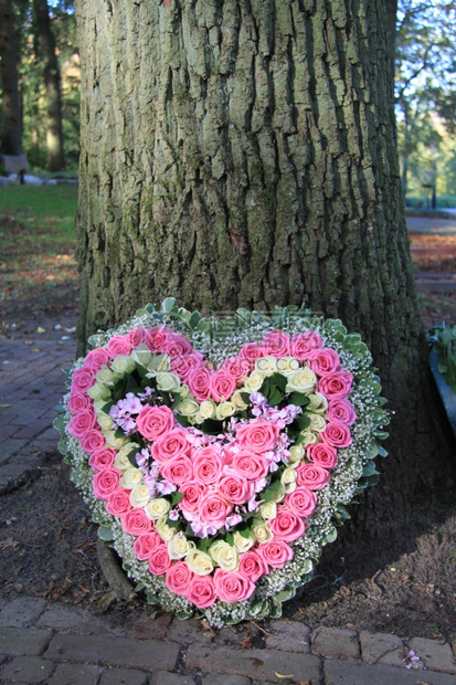 心形的同情花和粉红玫瑰