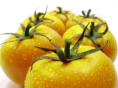 一组新鲜黄西红柿图片