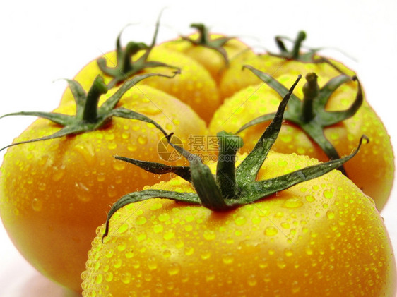 一组新鲜黄西红柿图片