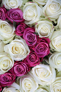 花安排由大白玫瑰和粉红制成图片