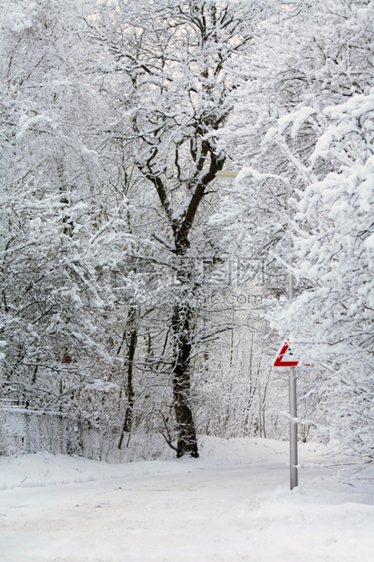 雪覆盖了道路和林中的霜冻树木图片