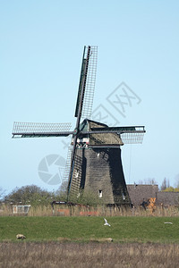 传统荷兰风车装在轮上图片