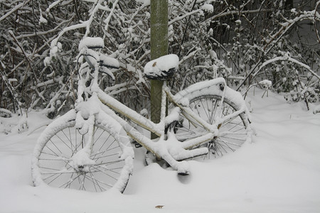 被风吹弯树一辆自行车停在棵树旁被雪覆盖背景