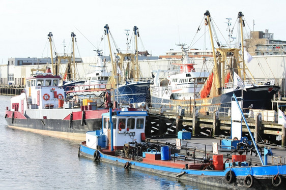 荷兰港的一组鱼拖网渔船图片