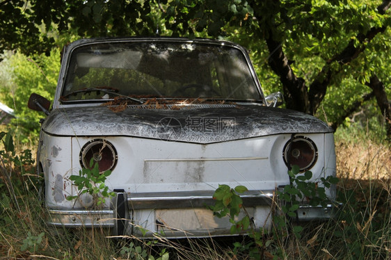 停在森林里多年的白色法国车图片