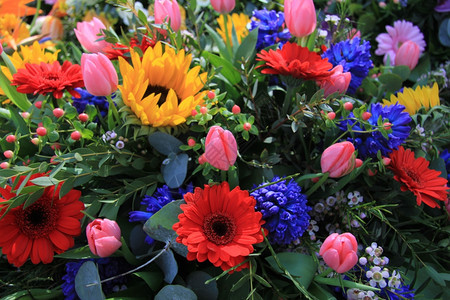 多种亮颜色的混合花卉安排图片