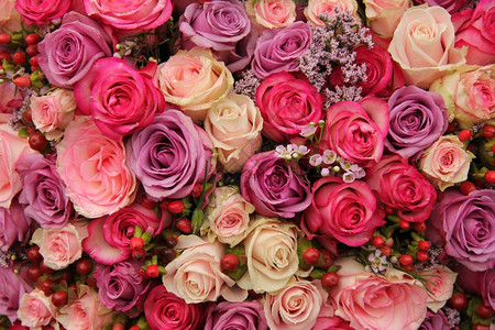 婚礼花各种面糊颜色的玫瑰图片