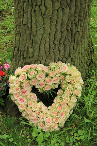 粉红玫瑰花在心形的同情安排上图片