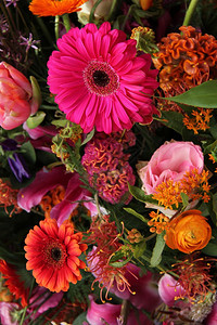 粉色和橙不同颜的混合花安排图片